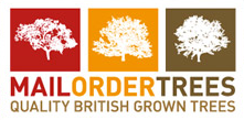 Mail Order Trees Discount Codes & Vouchers 2022
