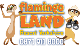 Flamingo Land Half Price