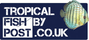 Tropical Fish By Post Discount Codes & Vouchers 2022