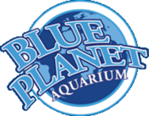 Blue Planet Aquarium Half Price