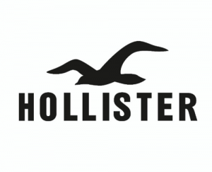 Hollister Half Price
