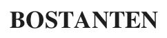Bostanten Discount Codes & Vouchers 2022