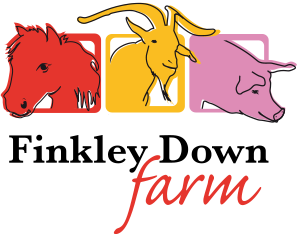 Finkley Down Farm Discount Codes & Vouchers 2022