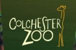 Colchester Zoo Vouchers Promo Codes 2020
