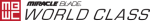 Miracle Blade Vouchers Promo Codes 2018