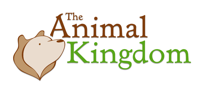 The Animal Kingdom Discount Codes & Vouchers 2022